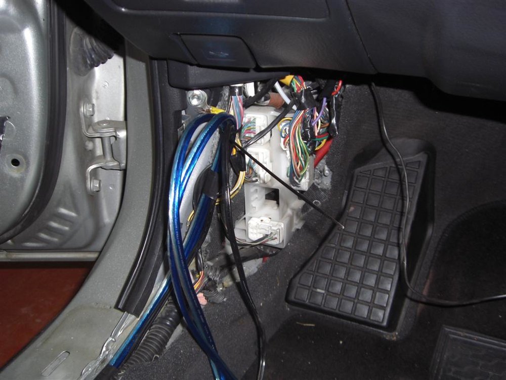 CIMG6069 (Large).JPG