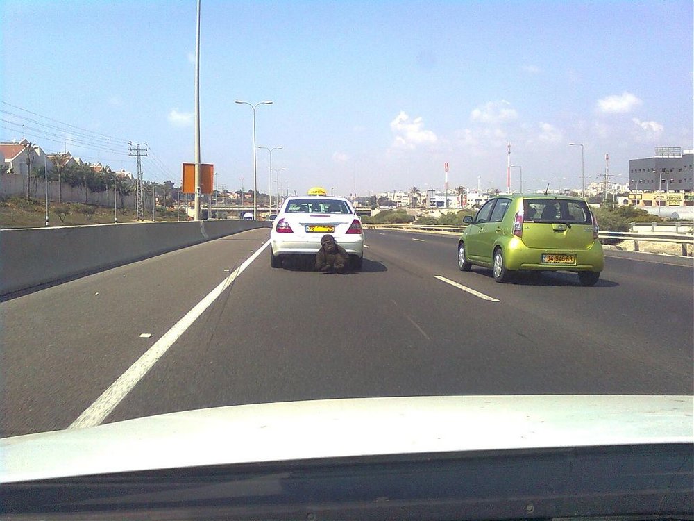 תמונה0118.jpg