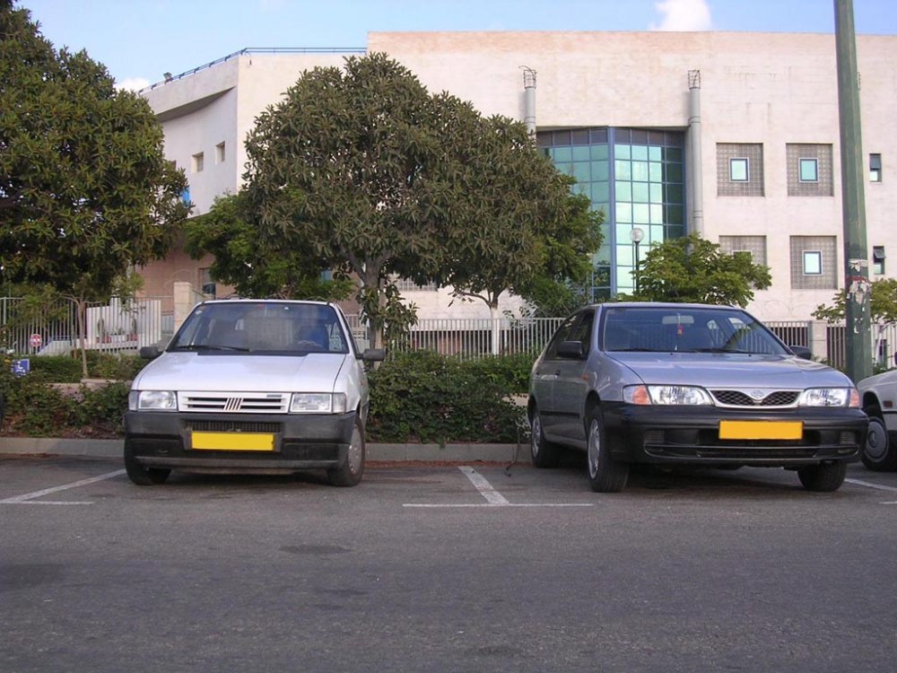 מפגש 6.jpg