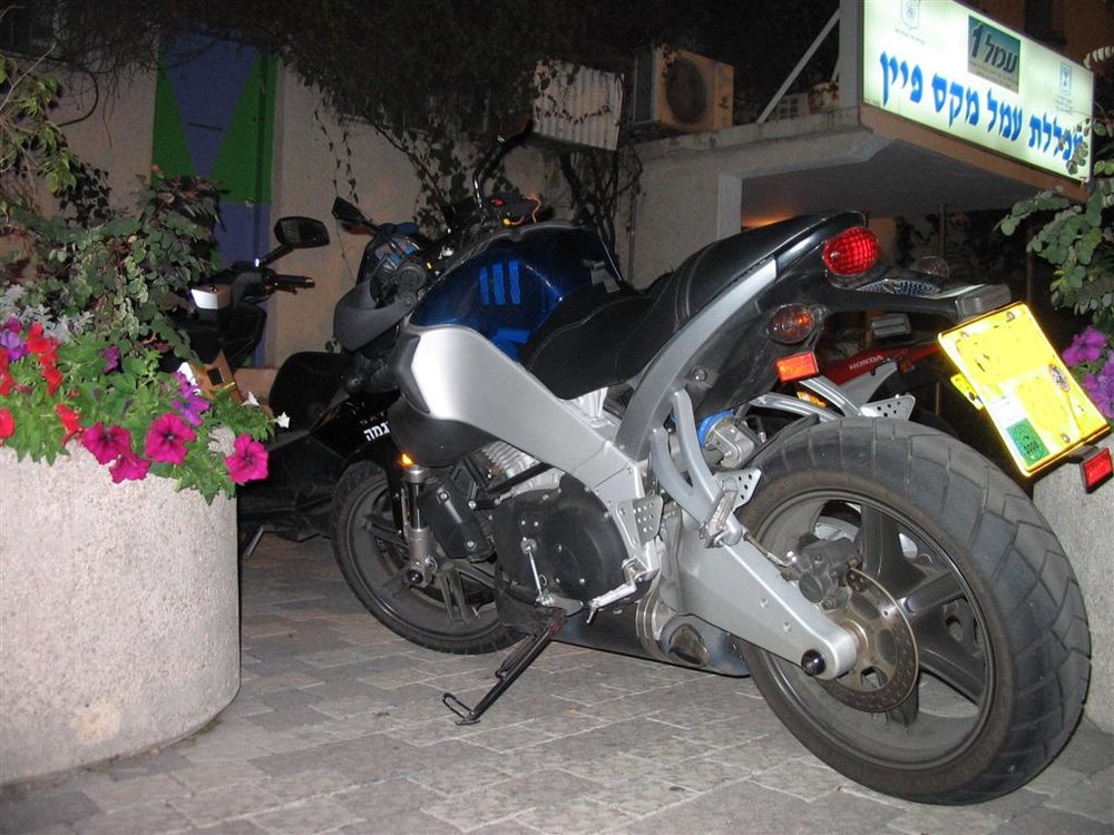נוג (Large).JPG