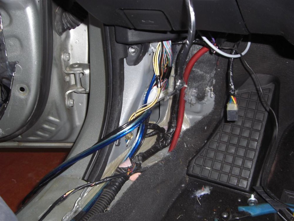 CIMG6074 (Large).JPG