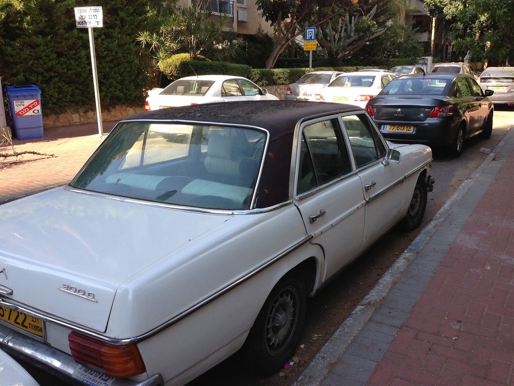 תמונה.jpg
