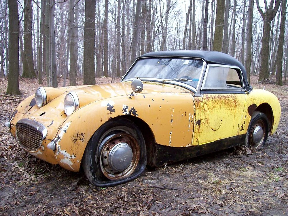 bugeye ohio.jpg