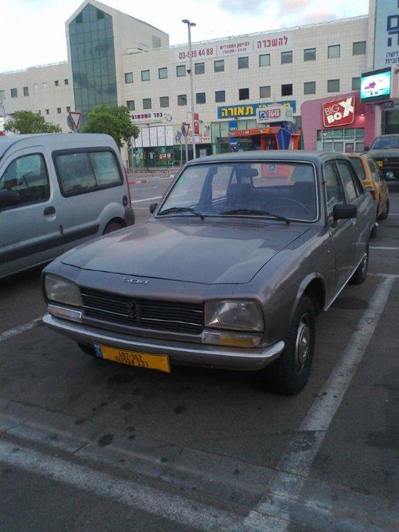 תצלום0243.jpg
