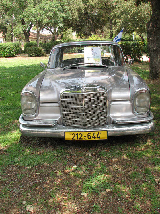 תמונה 335.jpg