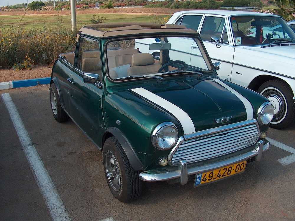 מפגש השרון בגעש  3.7.15 008.jpg