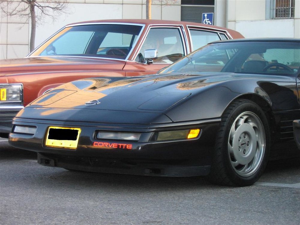 1 (Large).JPG