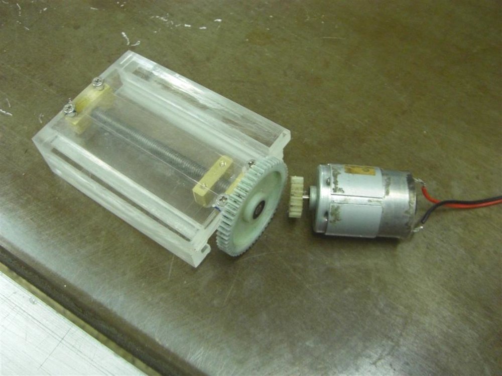 CIMG6089 (Large).JPG