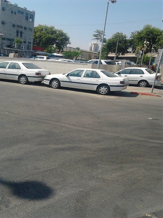 תמונה 081.jpg