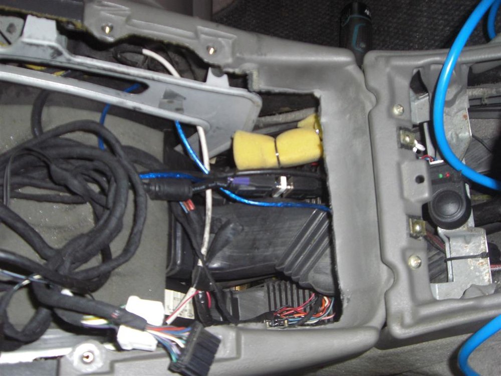 CIMG6762 (Large).JPG