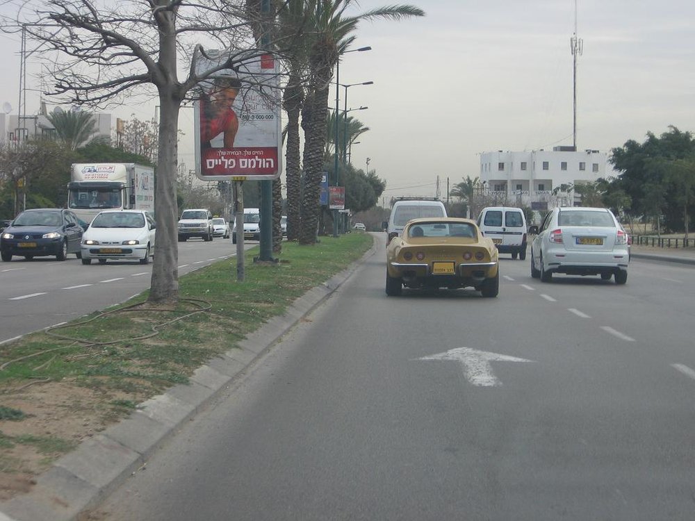 ‏‏עותק של IMG_4398.JPG