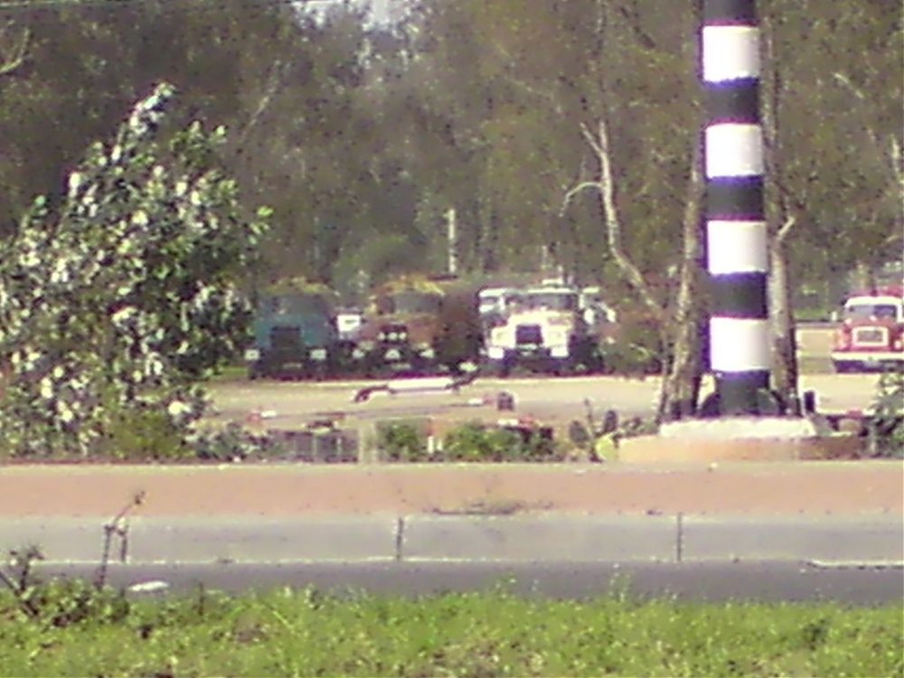 91.jpg