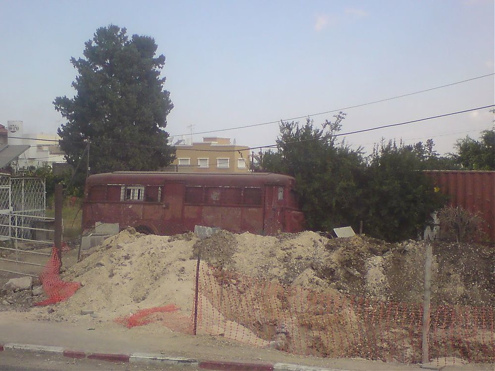 91.jpg
