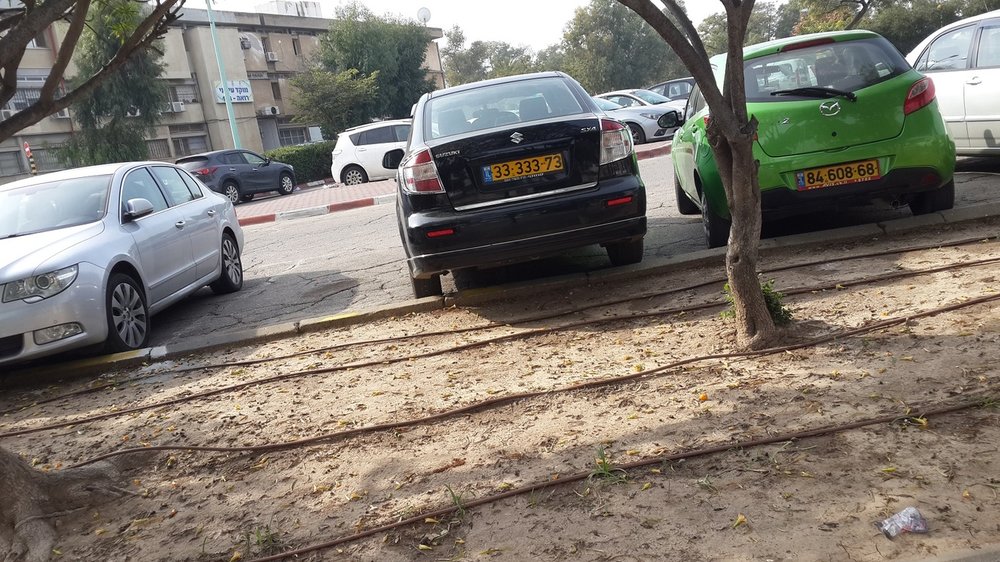 סוזוקי.jpg