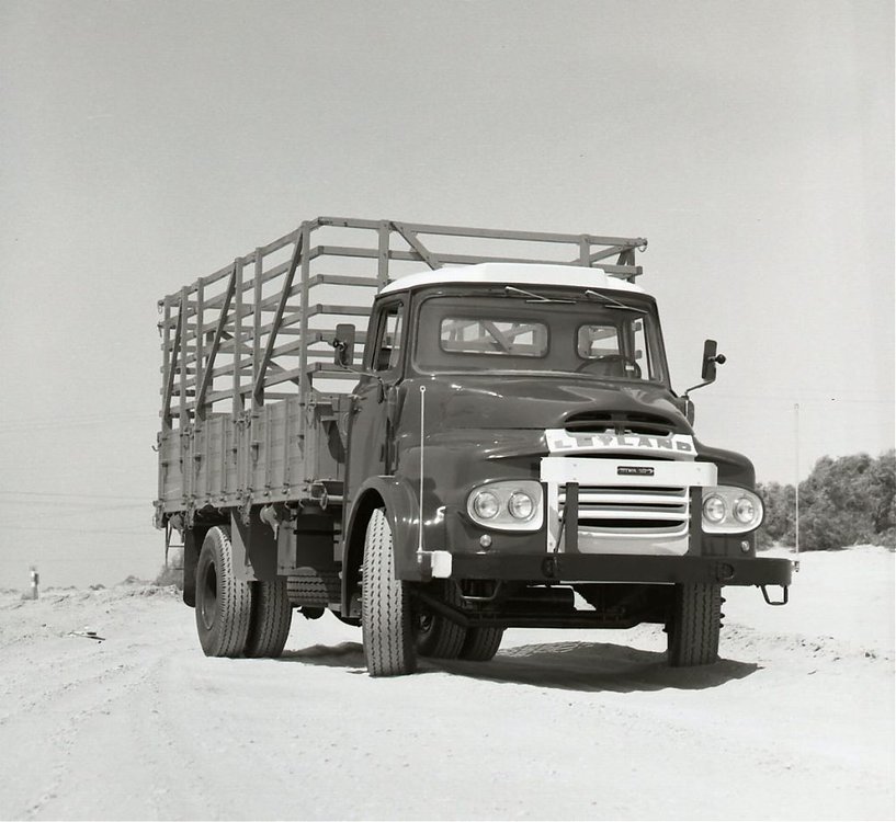 9175133.jpg