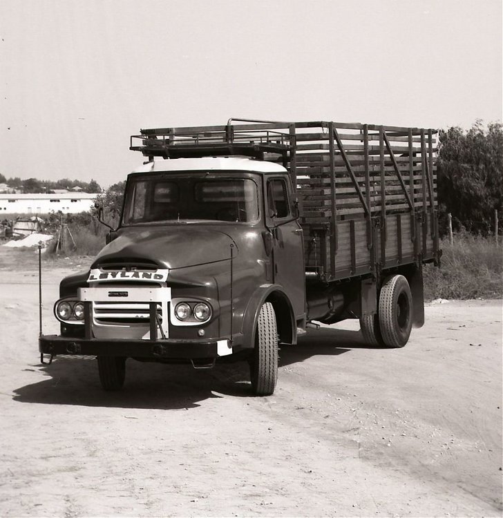 9175244.jpg