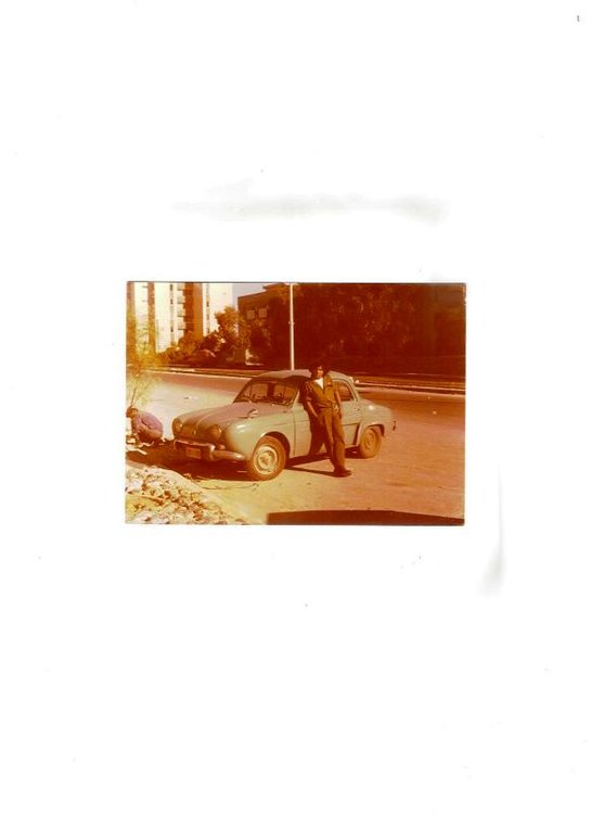דופין 1961.jpg