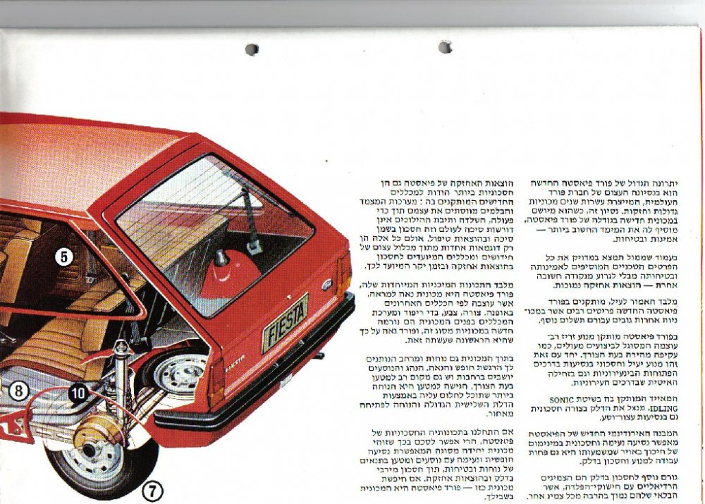 פיאסטה7.jpg