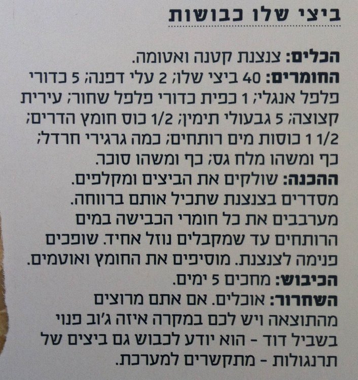 ביצי שליו.jpg