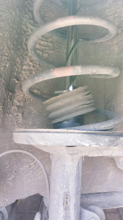 toyota corola spring.jpg