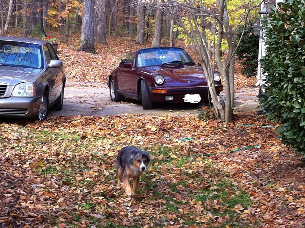 my porsche 211.jpg