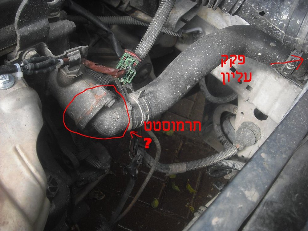 תרמוסטט.jpg