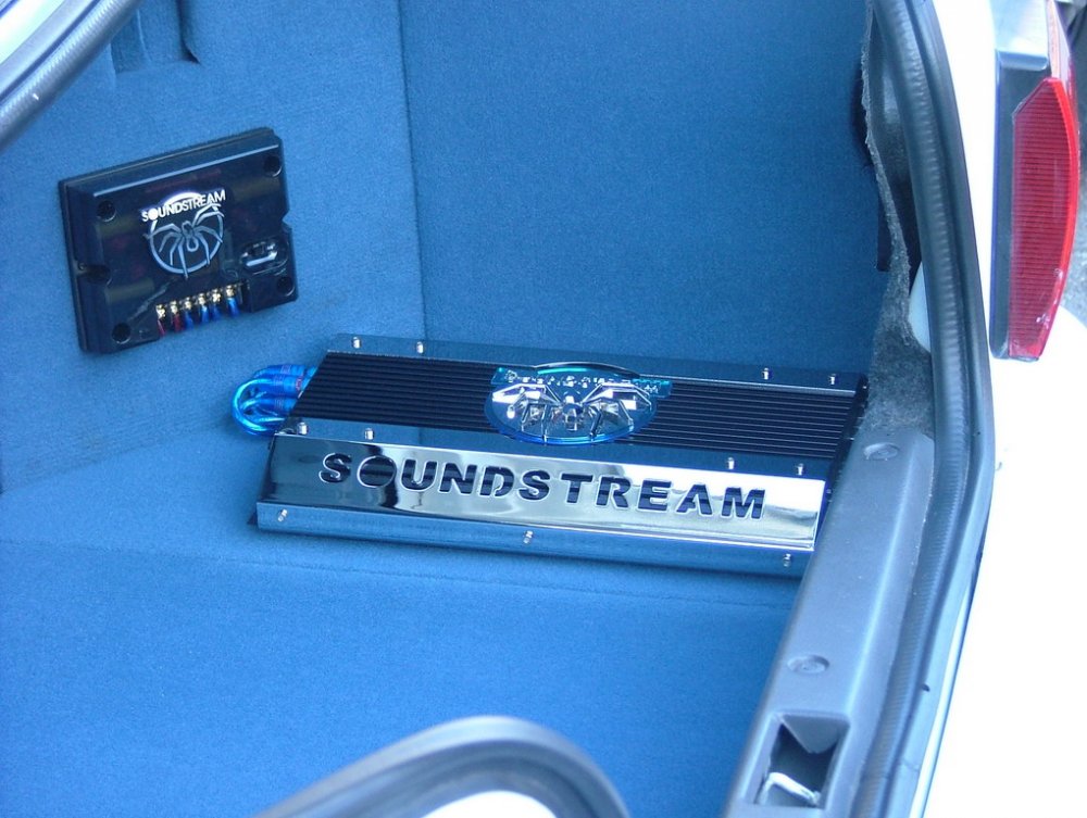 stam2 003.jpg
