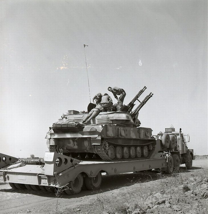 9471966.jpg