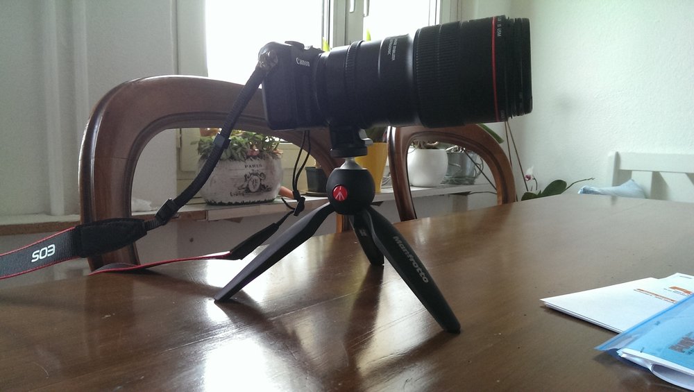 2014-05-01 07.26.33.jpg