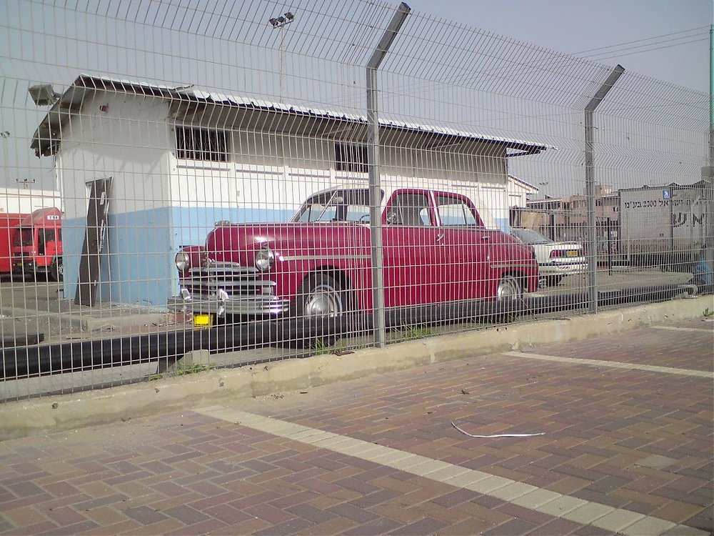 96.jpg