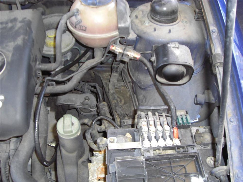 CIMG0620 (Large).JPG