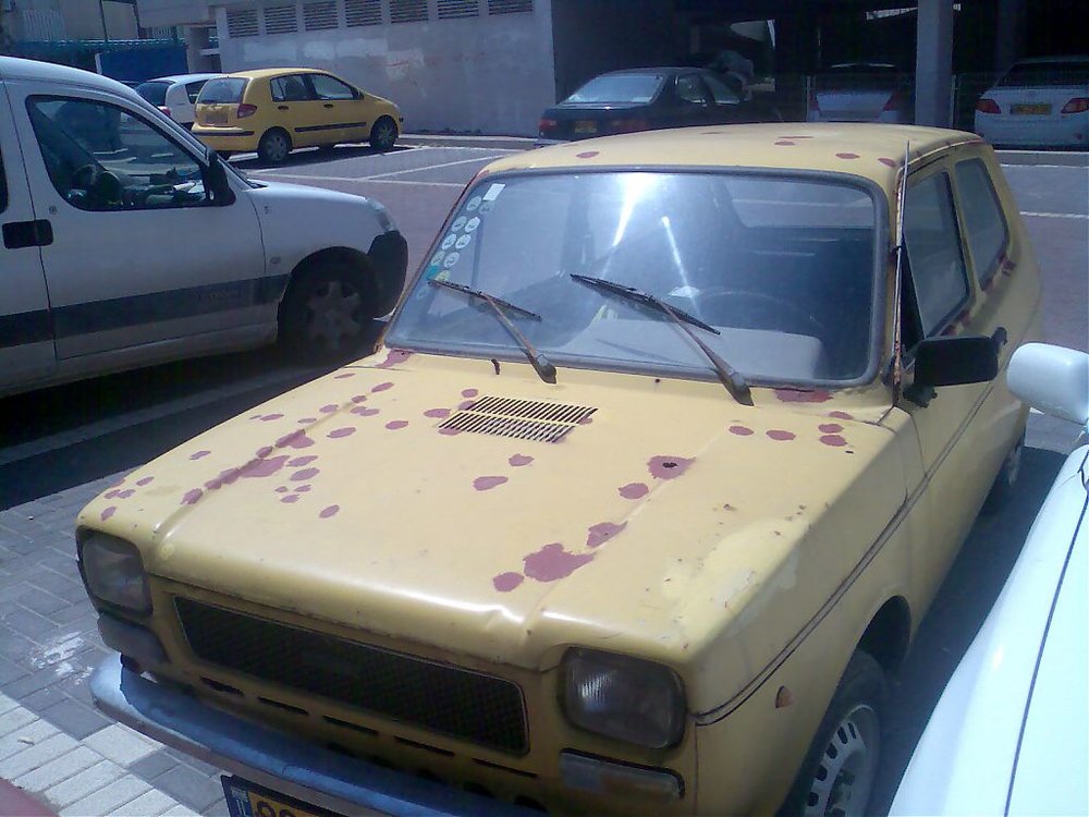 תמונה137.jpg