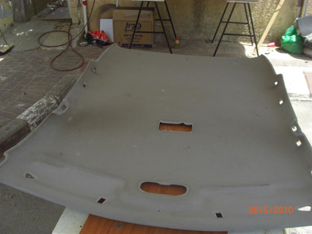CIMG4838 (Large).JPG