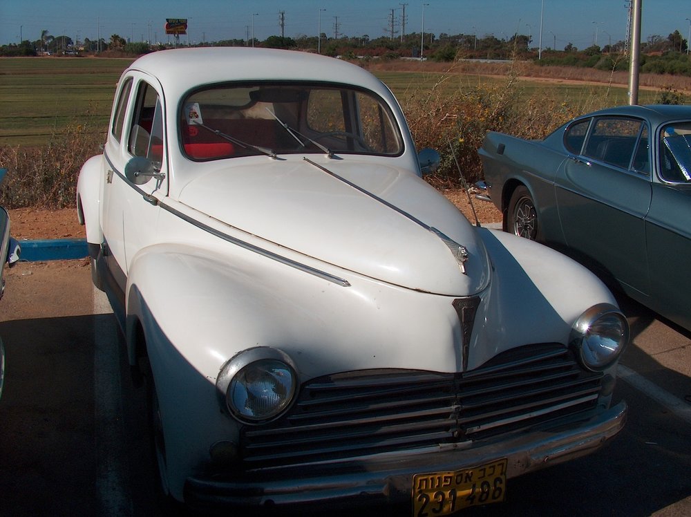 מפגש השרון בגעש  10.7.15 010.jpg