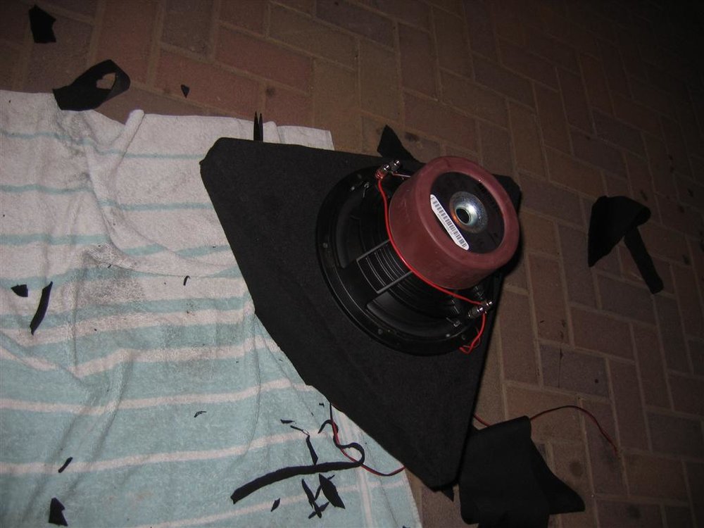 IMG_3360 (Large).JPG