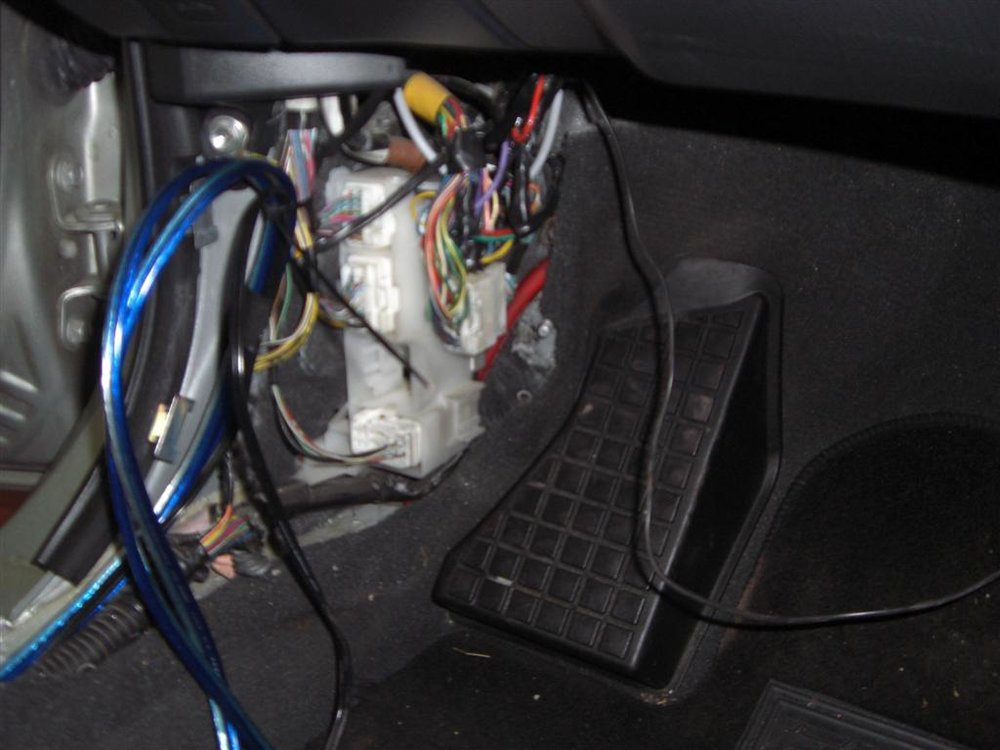CIMG6071 (Large).JPG