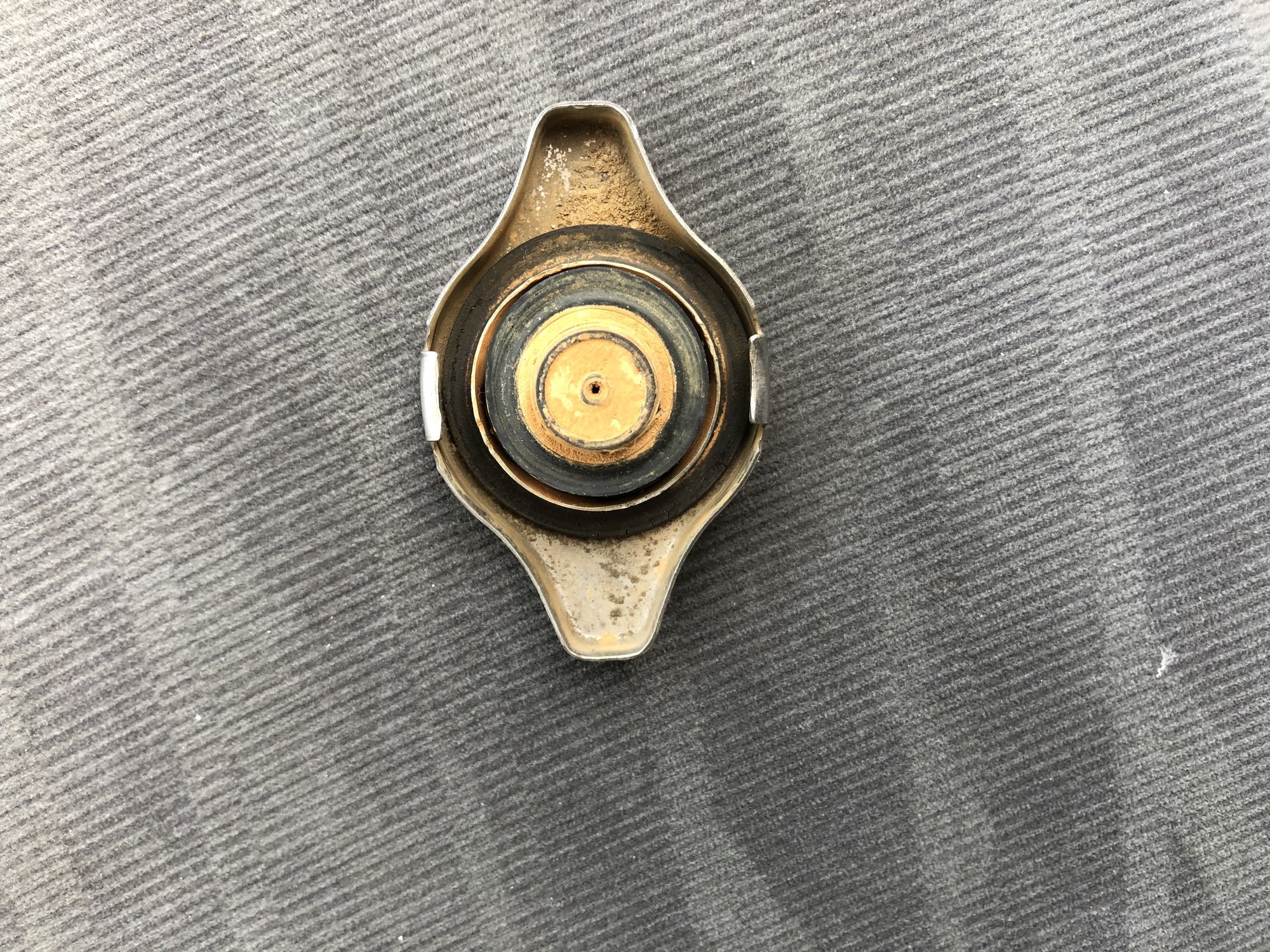 9970AE37-9CF4-4EE2-B2EE-F742C62A7EC4.thumb.jpeg.d9c7ed73dbca7e352dd54ca0f2212fcc.jpeg