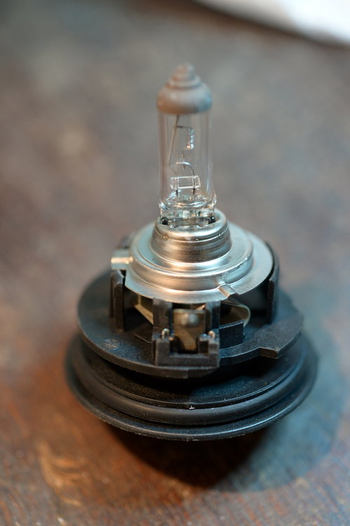 ABF_5368.jpg