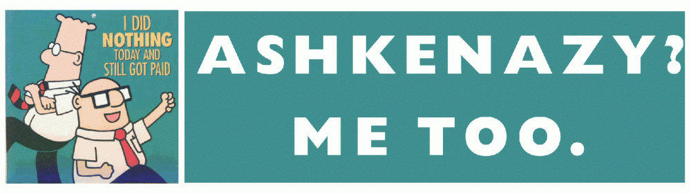 ASHKENAZY.gif