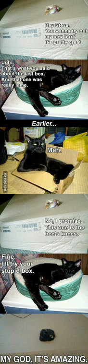 BOX.jpg