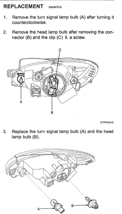 BULB1.JPG