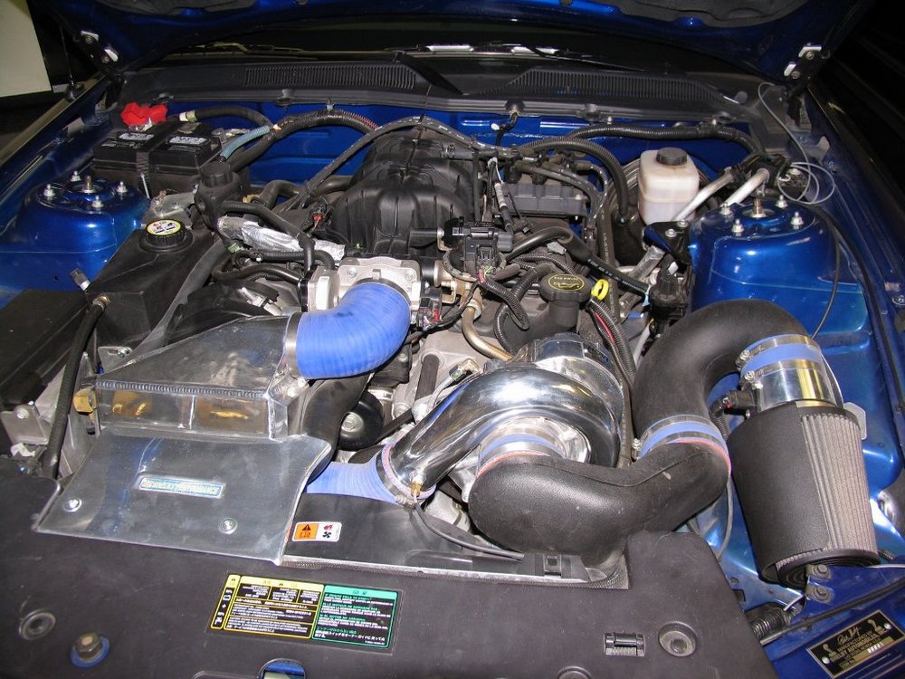 Blue_New_Stang_Eng.jpg