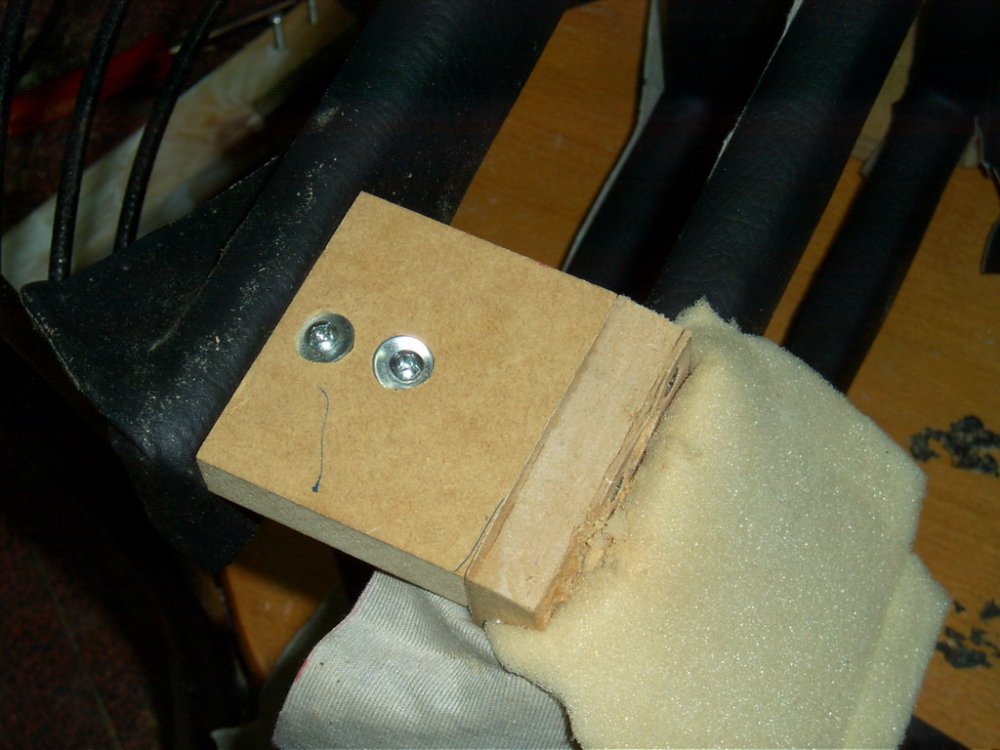 CAM_0456.jpg