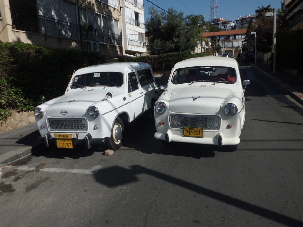 CIMG0289.jpg