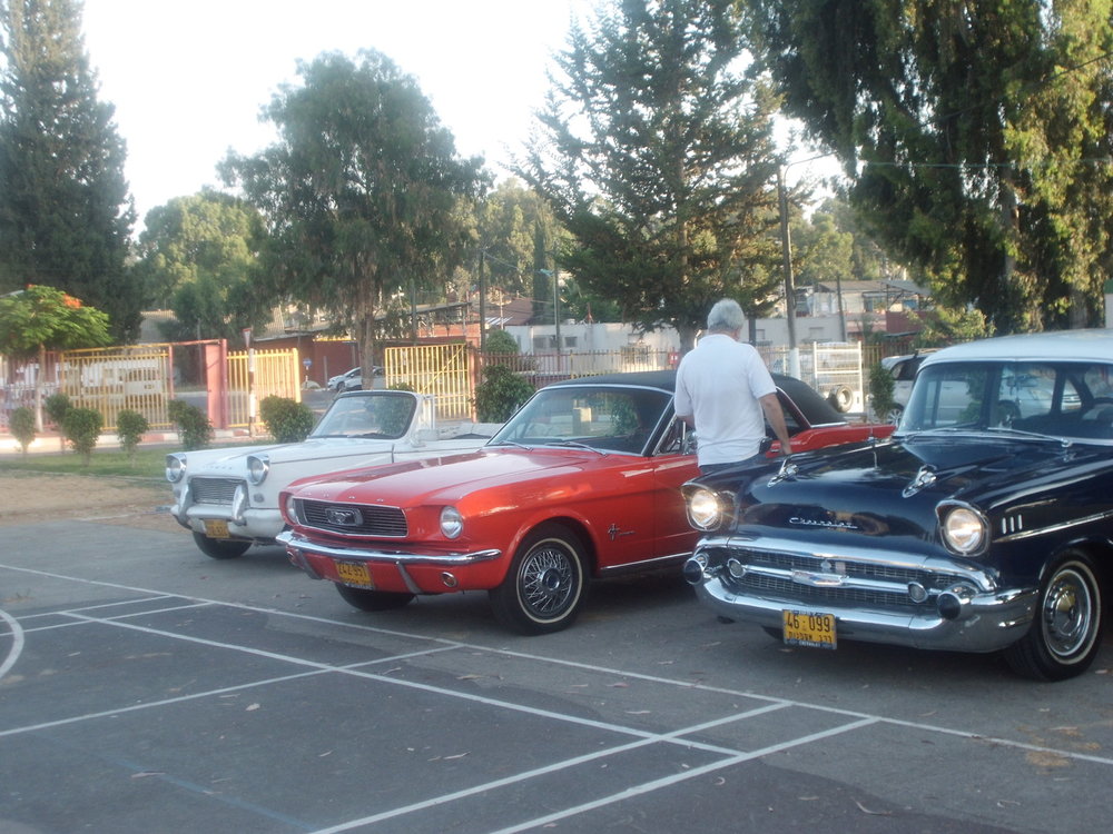 CIMG0696.jpg