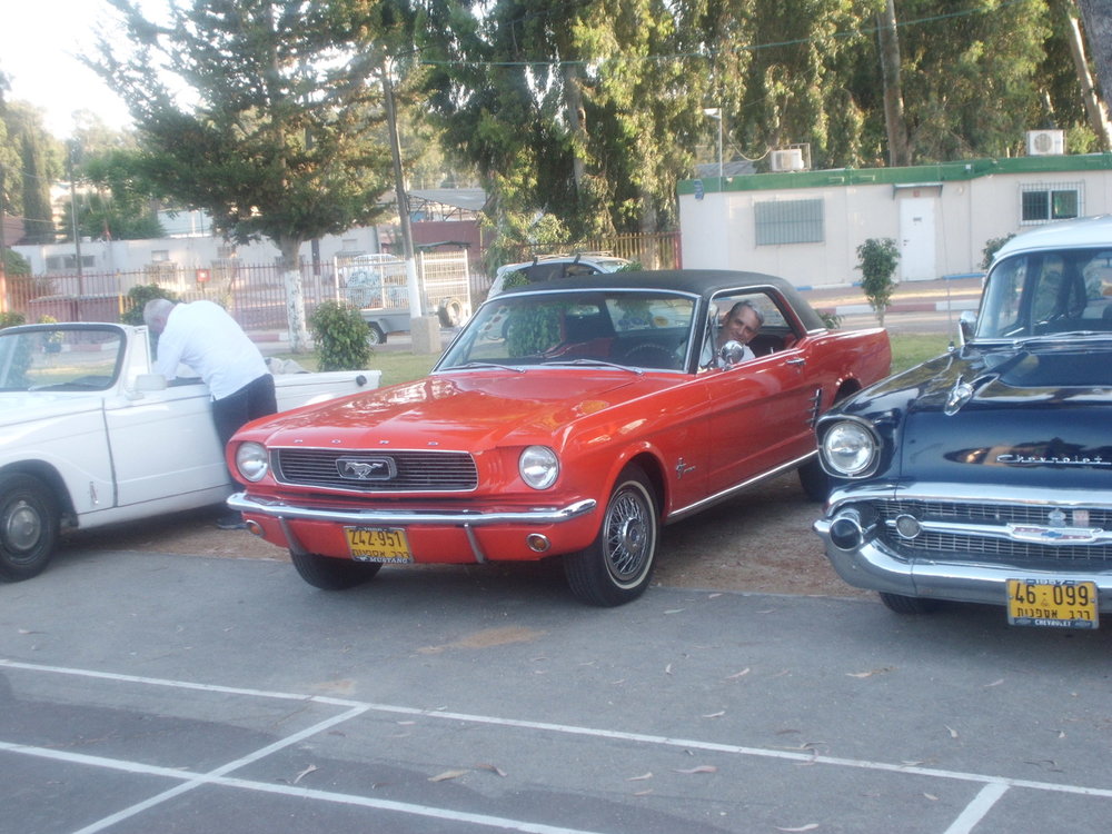 CIMG0698.jpg