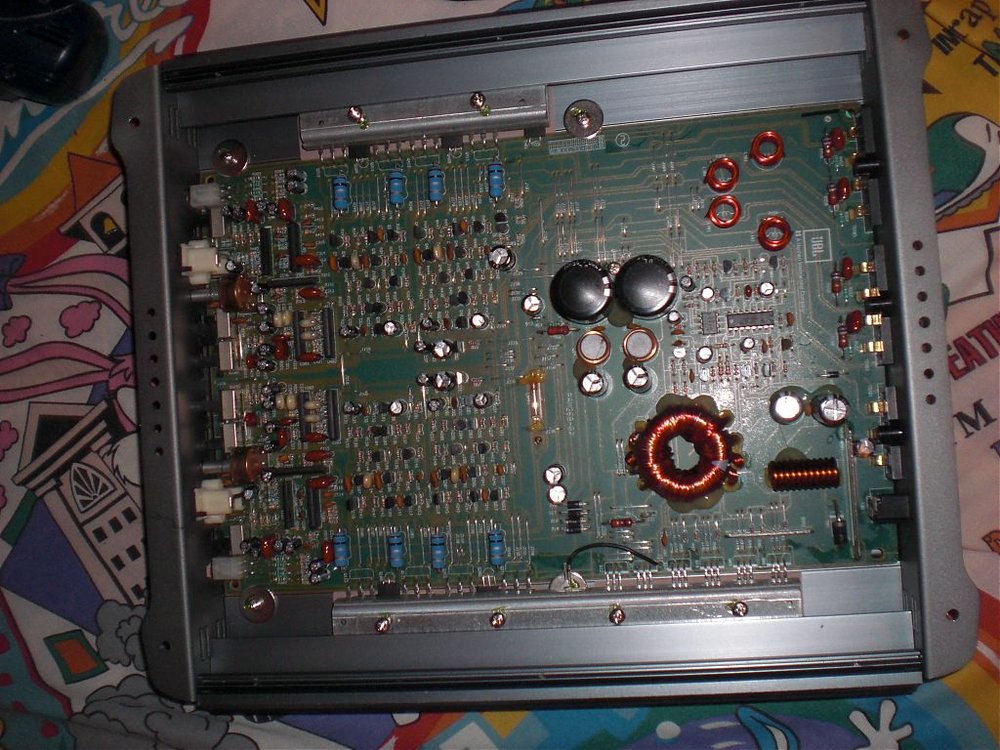 CIMG0833.jpg