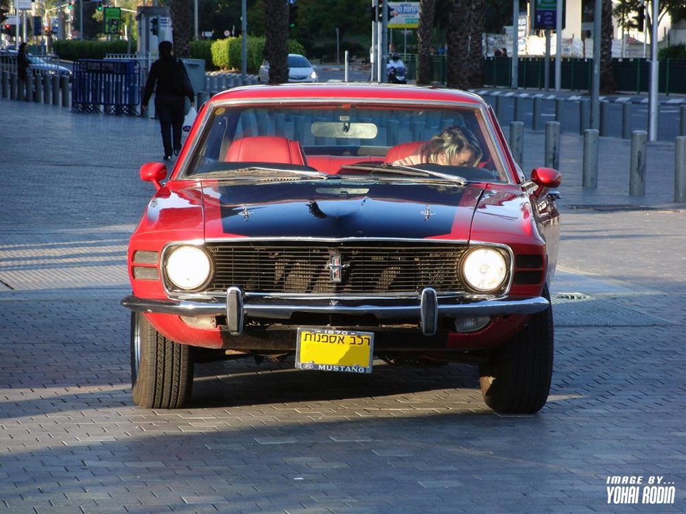 CIMG1105.JPG