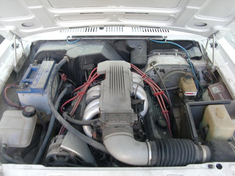 CIMG8874.JPG