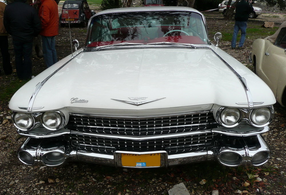 Cadi-1.jpg
